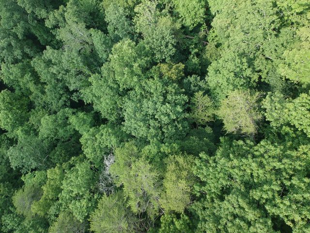 5908 Crestview Drive, Hixson, TN 37343