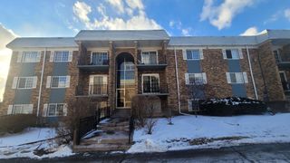 1603 N Windsor Drive 202, Arlington Heights, IL 60004