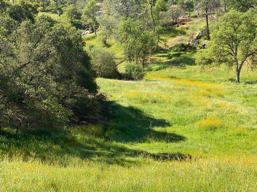 Image 3 of property listing at 17 Titan Way, Coarsegold, CA 93614