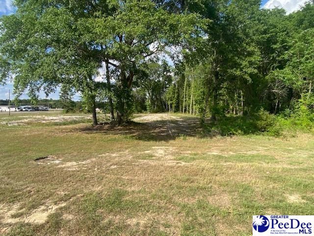 2358 Southern Drive, Latta, SC 29565