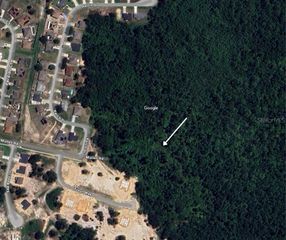 PERCH DRIVE, Kissimmee, FL 34759