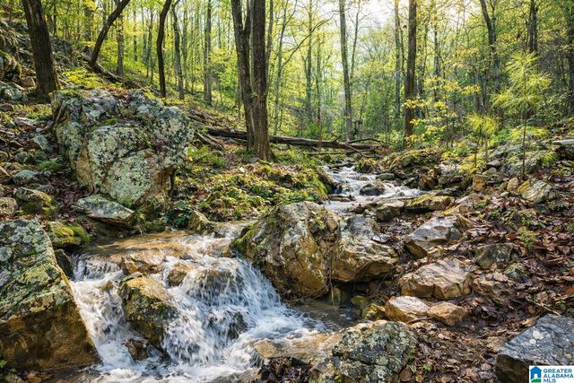 2904 COLEMAN ROAD, Anniston, AL 36207