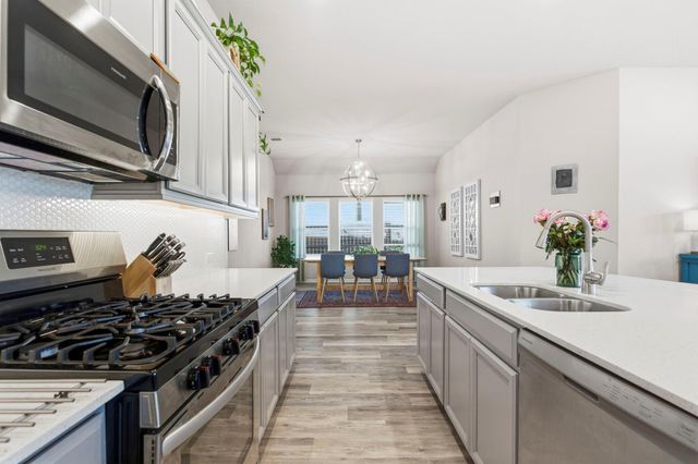 29306 Sweet Orange Court, Katy, TX 77423