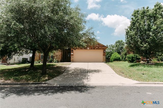 236 Bauxite Drive, Jarrell, TX 76537