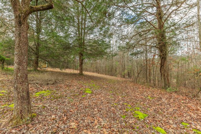 235 Harbuck Road, Ringgold, GA 30736