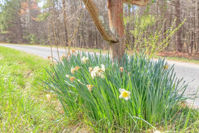 235 Harbuck Road, Ringgold, GA 30736