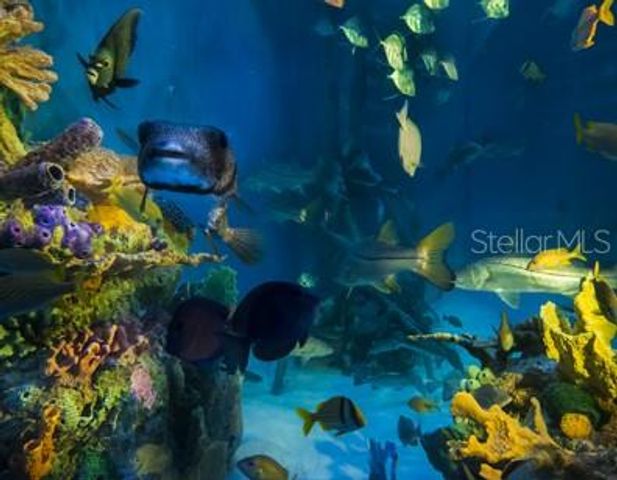 5500 GULF BOULEVARD 3219, St Pete Beach, FL 33706