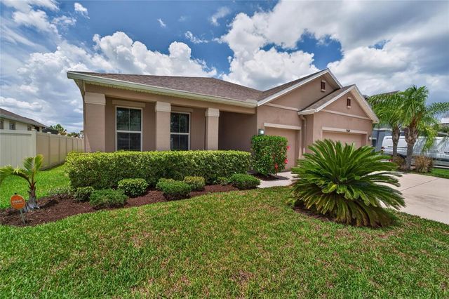 11621 TETRAFIN DRIVE, Riverview, FL 33579