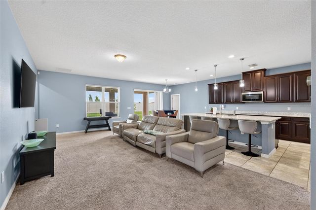 11621 TETRAFIN DRIVE, Riverview, FL 33579