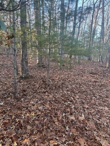 0 Stanleys Ridge, Morganton, GA 30560