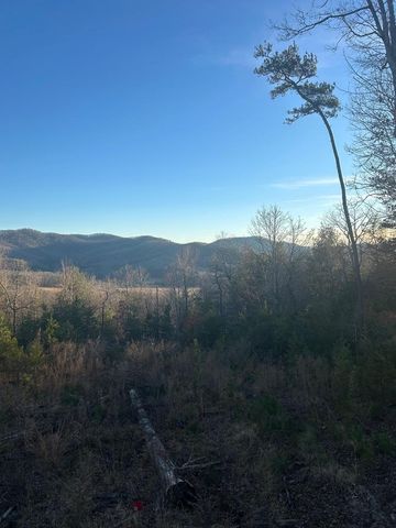 0 Stanleys Ridge, Morganton, GA 30560
