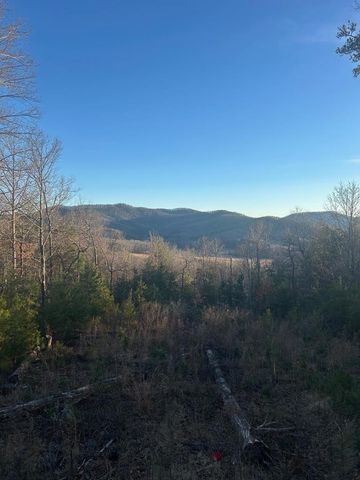 0 Stanleys Ridge, Morganton, GA 30560