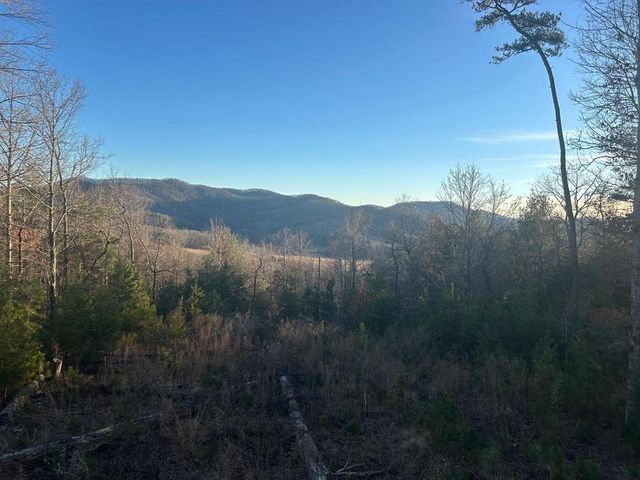 0 Stanleys Ridge, Morganton, GA 30560