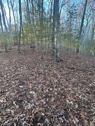 0 Stanleys Ridge, Morganton, GA 30560