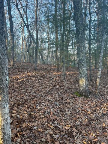 0 Stanleys Ridge, Morganton, GA 30560