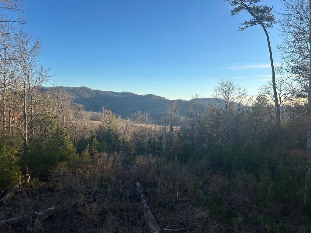 0 Stanleys Ridge, Morganton, GA 30560