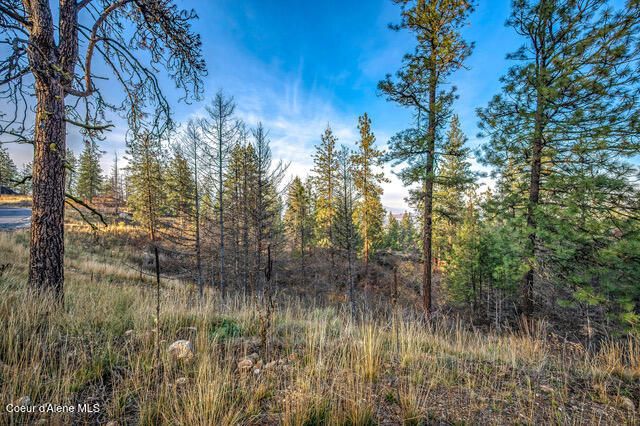 LOT 4 WALKINSHAW CT, Coeur D'alene, ID 83814