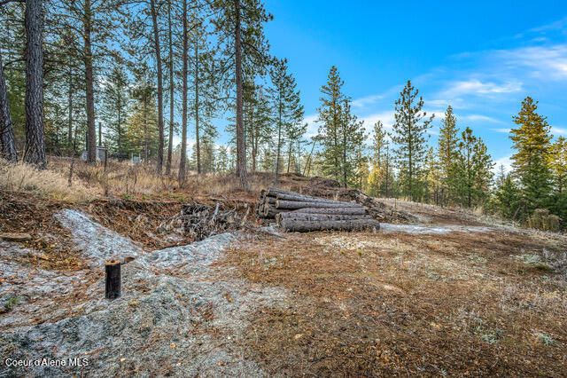 LOT 4 WALKINSHAW CT, Coeur D'alene, ID 83814