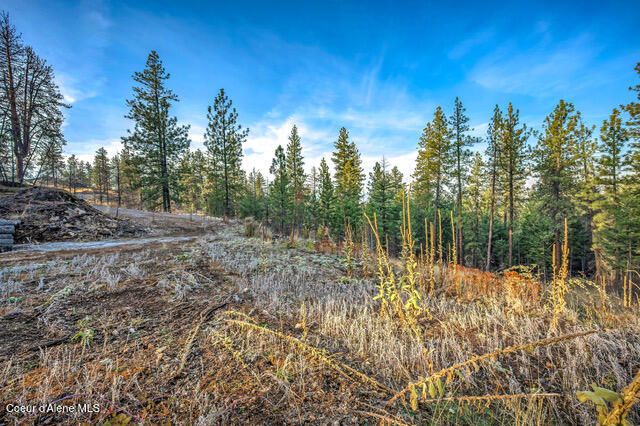 LOT 4 WALKINSHAW CT, Coeur D'alene, ID 83814