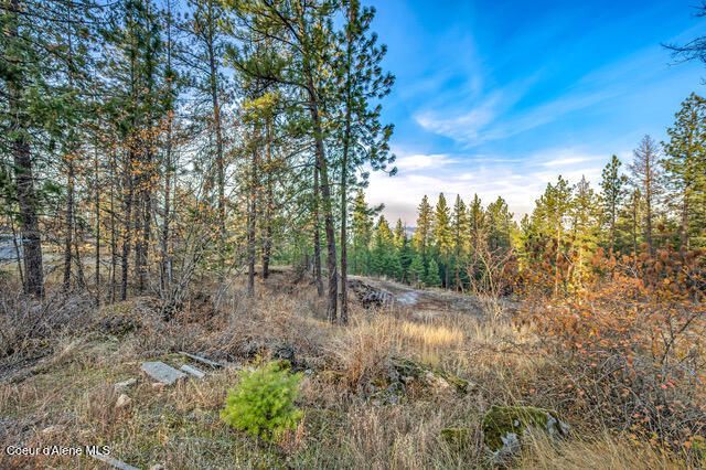 LOT 4 WALKINSHAW CT, Coeur D'alene, ID 83814