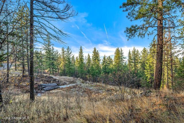 LOT 4 WALKINSHAW CT, Coeur D'alene, ID 83814