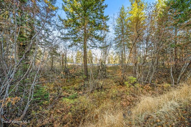 LOT 4 WALKINSHAW CT, Coeur D'alene, ID 83814