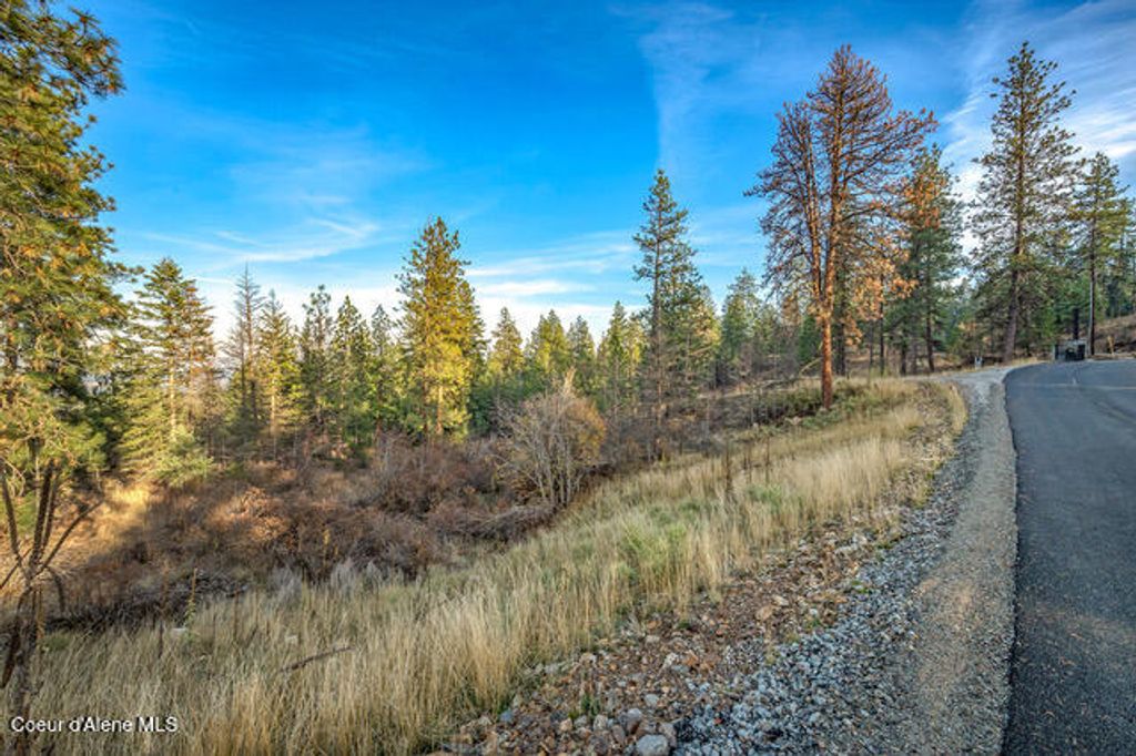 LOT 4 WALKINSHAW CT, Coeur D'alene, ID 83814