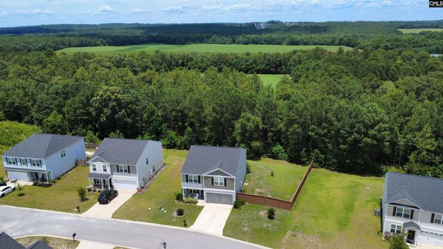 523 Old Copper Court, Lexington, SC 29073