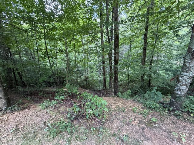 438 Country Square Road, Newport, TN 37821