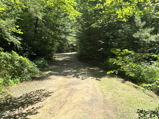 438 Country Square Road, Newport, TN 37821