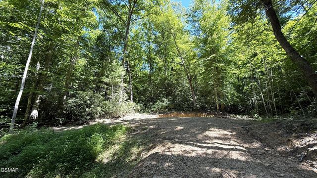 438 Country Square Road, Newport, TN 37821
