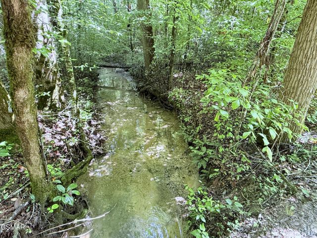 438 Country Square Road, Newport, TN 37821