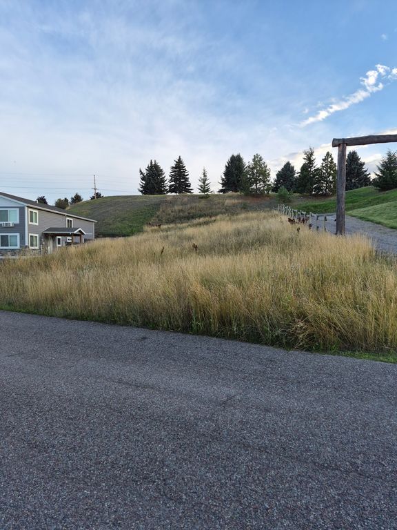 NHN LaVista Lane, Polson, MT 59860 photo 3