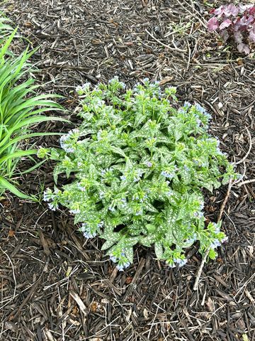 9243 Queens Gardens N, Brooklyn Park, MN 55443