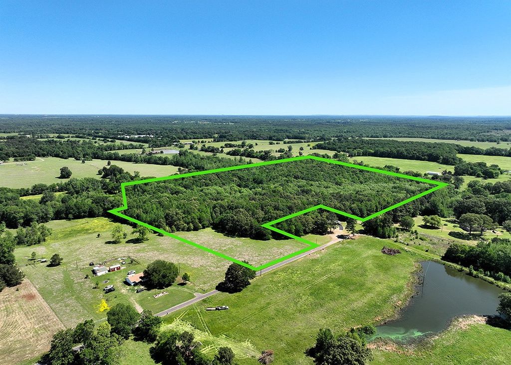TBD Turtle Road, Pittsburg, TX 75686