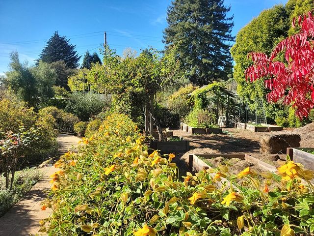 3360 Merrill Road, Aptos, CA 95003