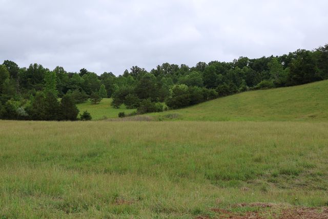4135 Big Andy Ridge Road Tract 5, Rogers, KY 41365