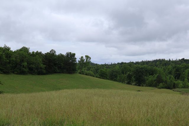 4135 Big Andy Ridge Road Tract 5, Rogers, KY 41365