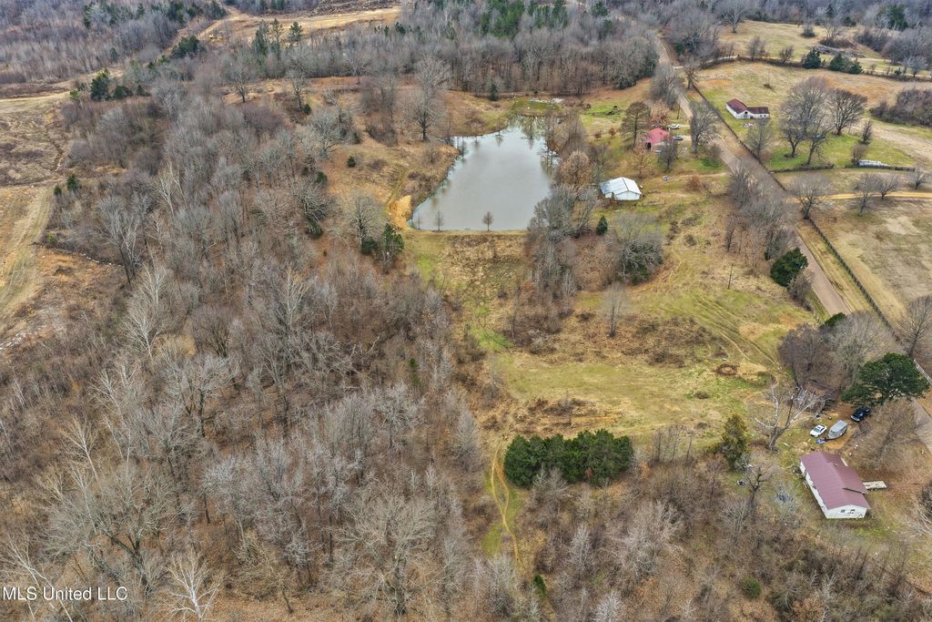 0 Brownlee Road, Senatobia, MS 38668 — photo 3