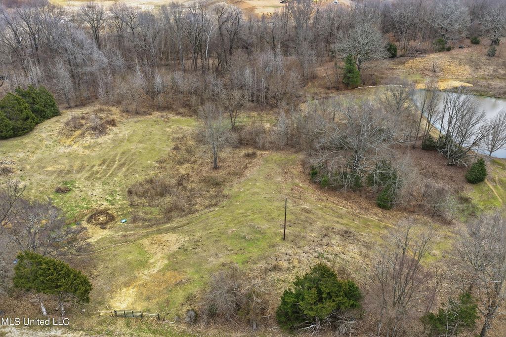 0 Brownlee Road, Senatobia, MS 38668 — photo 5