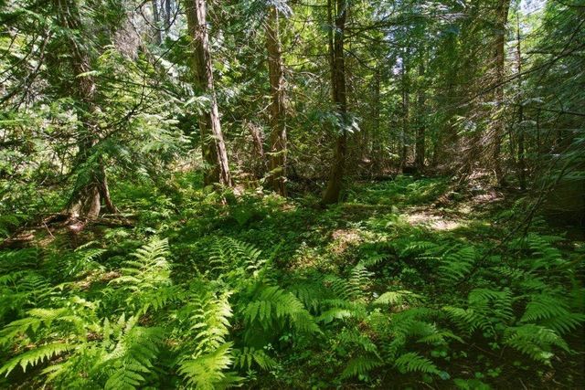 1301 Veit Rd, Newport, WA 99156