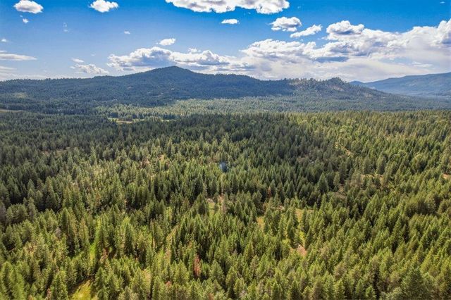 1301 Veit Rd, Newport, WA 99156