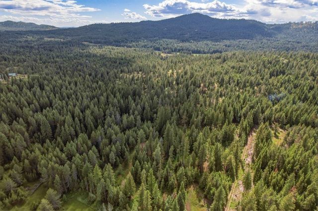 1301 Veit Rd, Newport, WA 99156