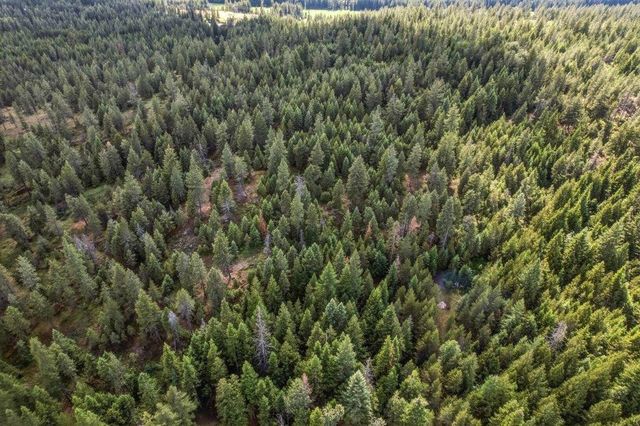 1301 Veit Rd, Newport, WA 99156