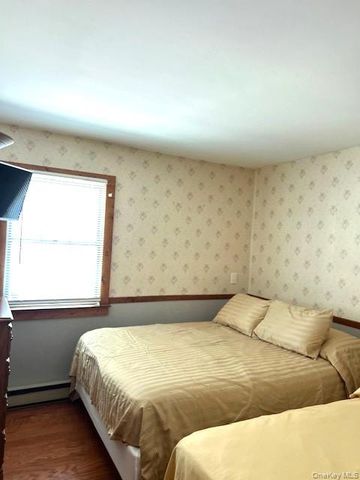 3226 State Route 52, White Sulphur Spring, NY 12787