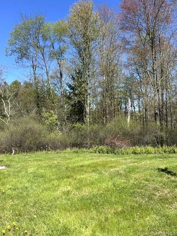 3226 State Route 52, White Sulphur Spring, NY 12787
