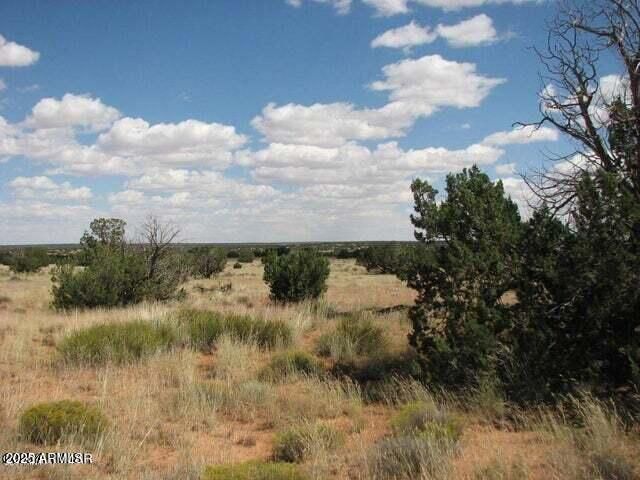 6251 Dry Pasture Run Lot 216 -- 216, Heber, AZ 85928