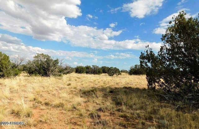 6251 Dry Pasture Run Lot 216 -- 216, Heber, AZ 85928