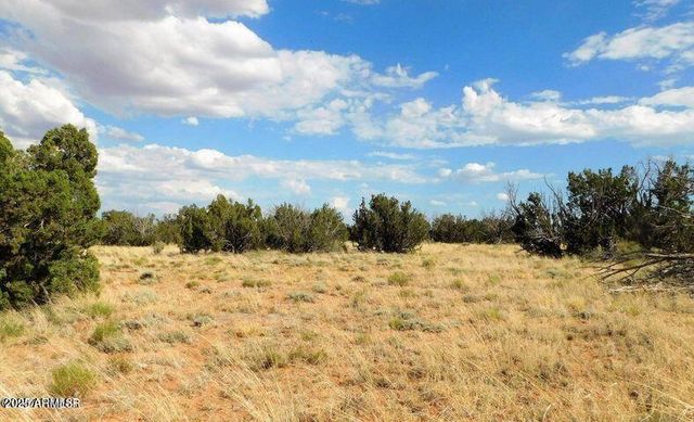 6251 Dry Pasture Run Lot 216 -- 216, Heber, AZ 85928