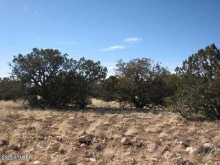 6251 Dry Pasture Run Lot 216 -- 216, Heber, AZ 85928